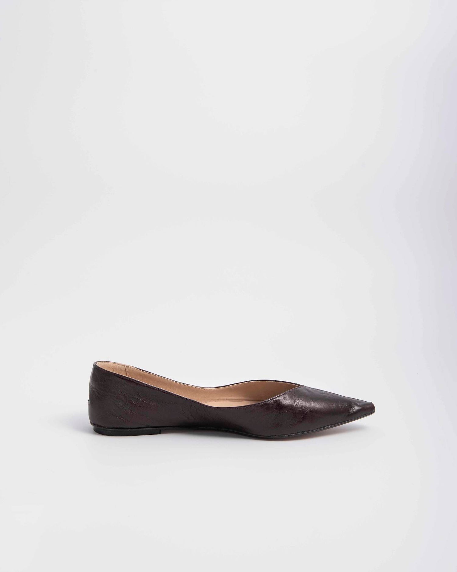 POINTED BALLERINAS
